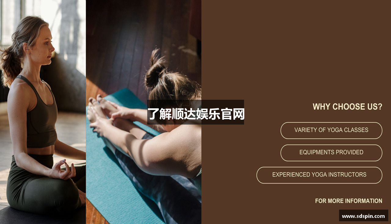 了解顺达娱乐官网